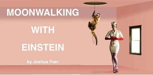 moonwalking_with_einstein.webp