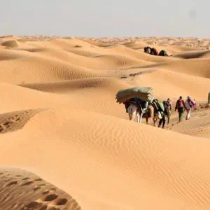 S04 – Caravan Members