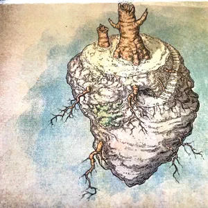S09E19 - The Heart of Ubtao