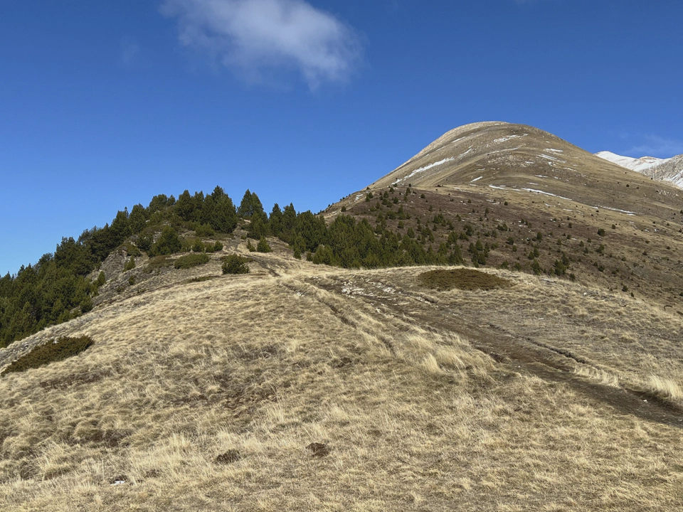 Picture of the way up to Casamanya.