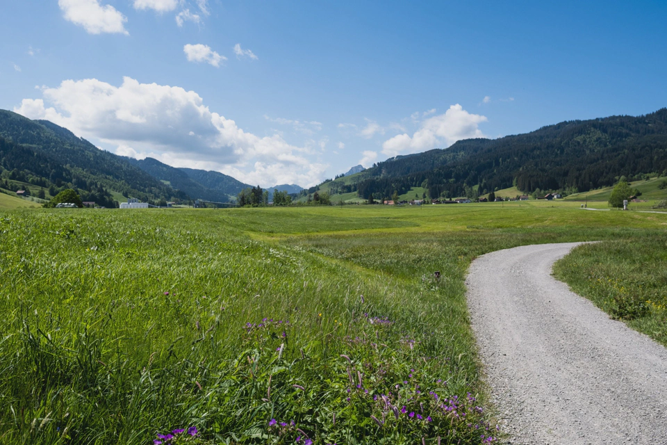 Alpthal seen from outside Trachslau.