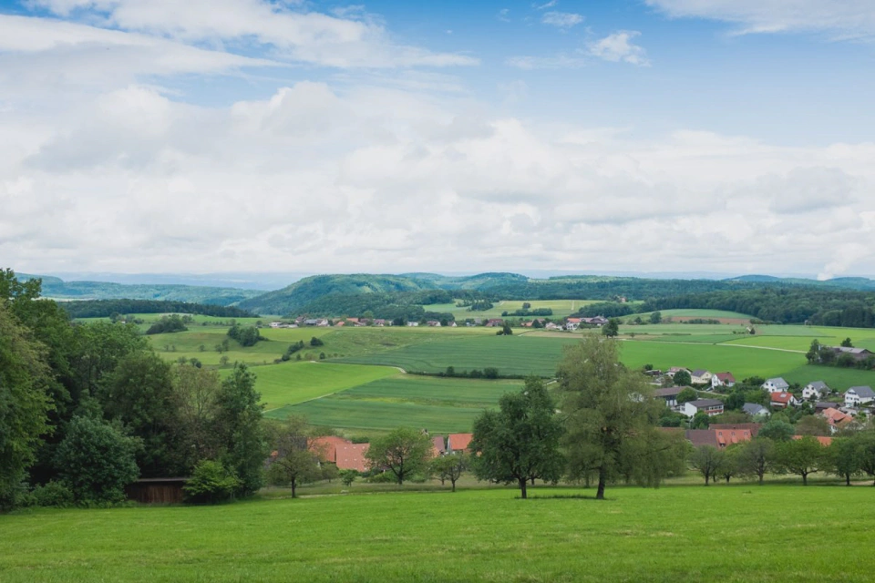 farming-fields-and-trees-near-staffelegg.webp