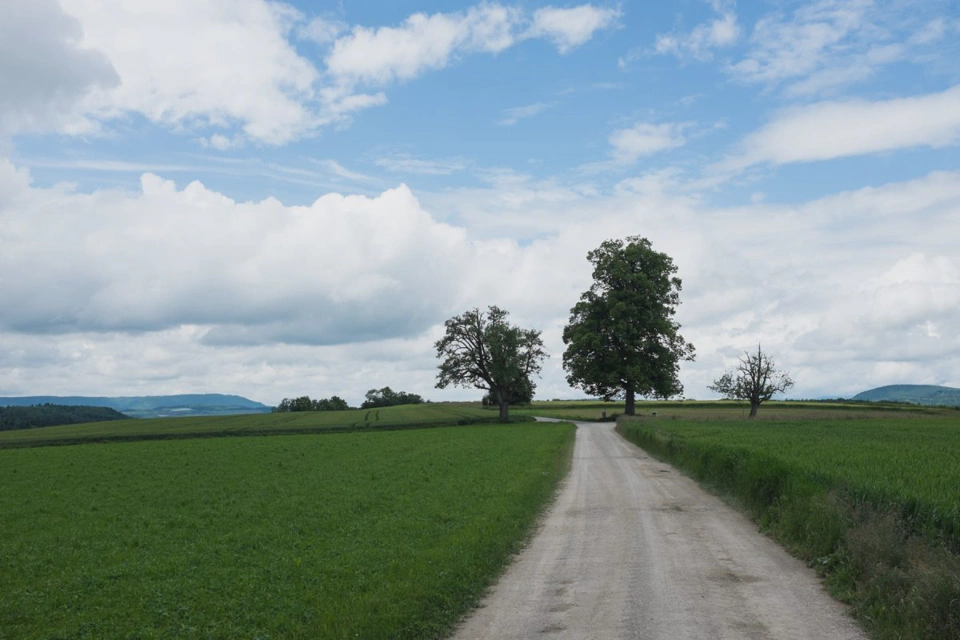 hiking-trail-through-immense-grass-fields.webp