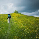 /attachments/hikes/hiking-trogen-to-appenzell/female-backpacker-hiking-up-yellow-flowers-hill_hu17631337583479154044.webp