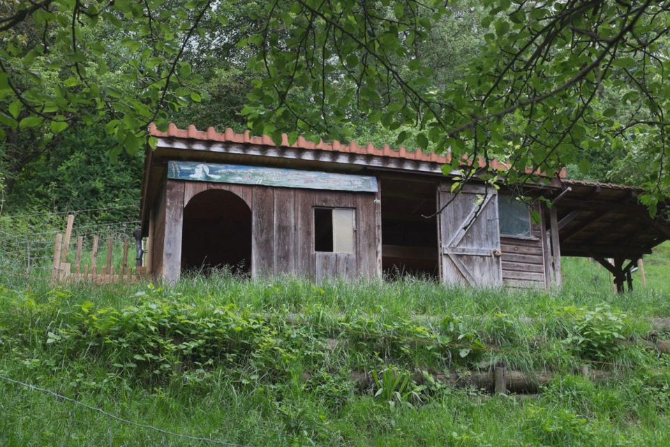 One of the various little buildings that I’m sure were sheep apartments. Loes, though, disagrees.