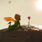/attachments/movies/little-prince/little-prince-2015-staring-at-rose_hu_30aada201bb3b760.webp