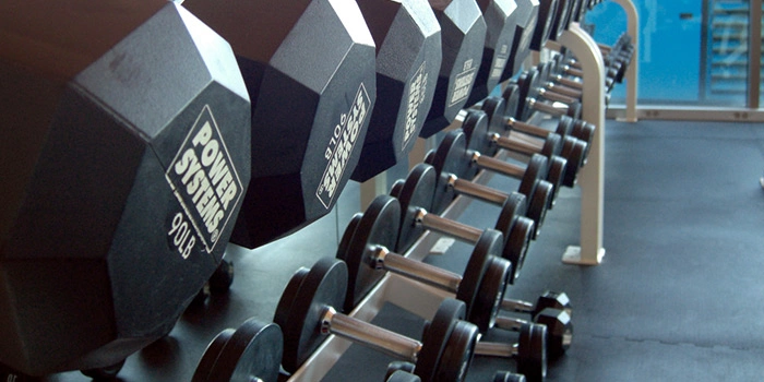 close-up-gym-dumbbells-rack.webp