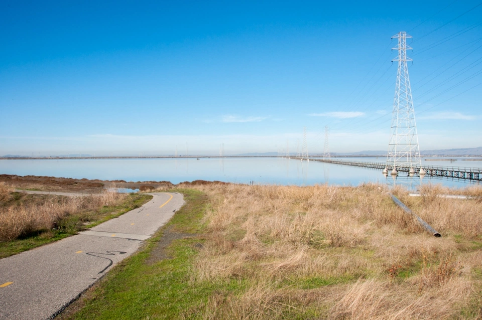 san-francisco-bay-from-shoreline-trail.webp
