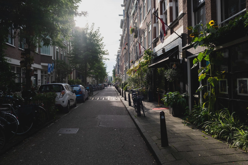 A green street in late afternoon light.