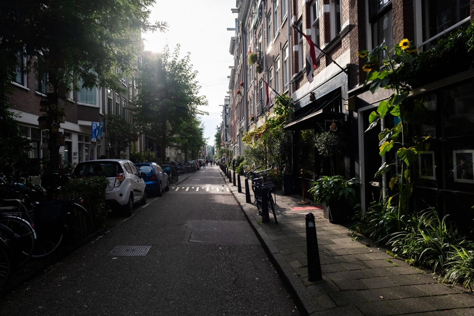 A green street in late afternoon light.