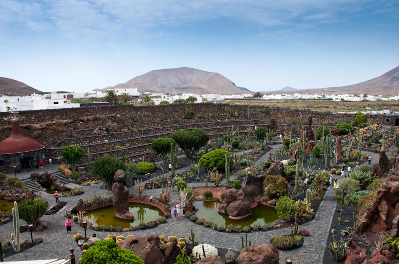 A few days later we visited a cactus paradise with 900 different kinds of cactus.