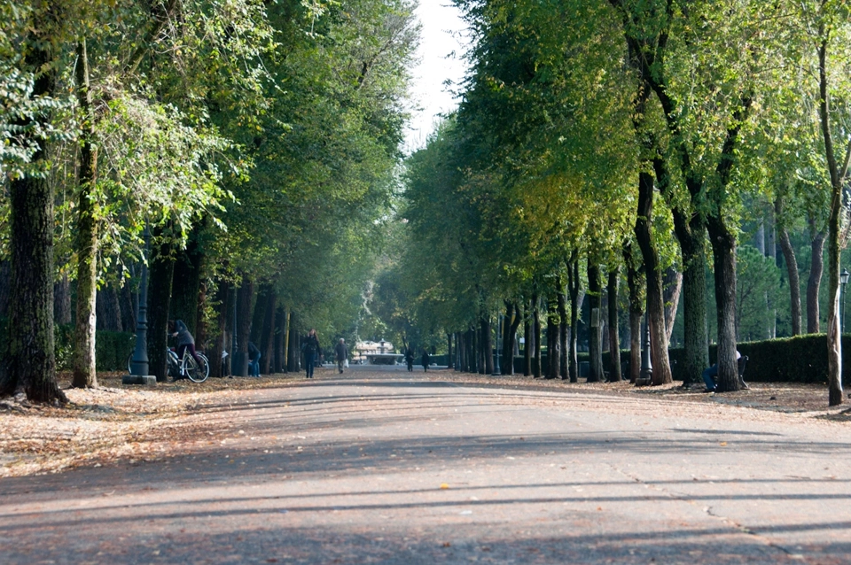 A beautifully lit road.