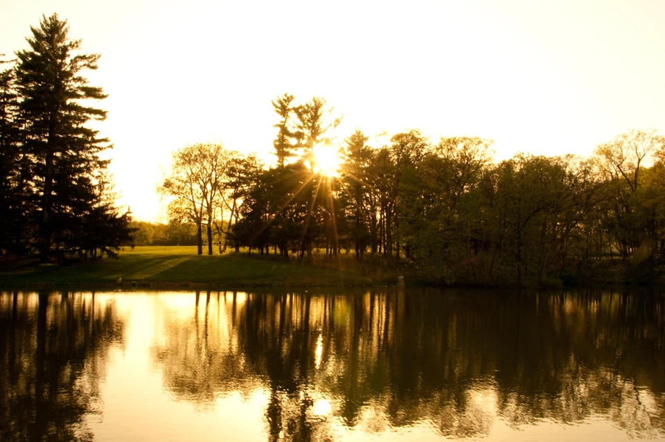 Ya apunto de volver un último vistazo al tranquilo lago, ahora dorado, del principio.