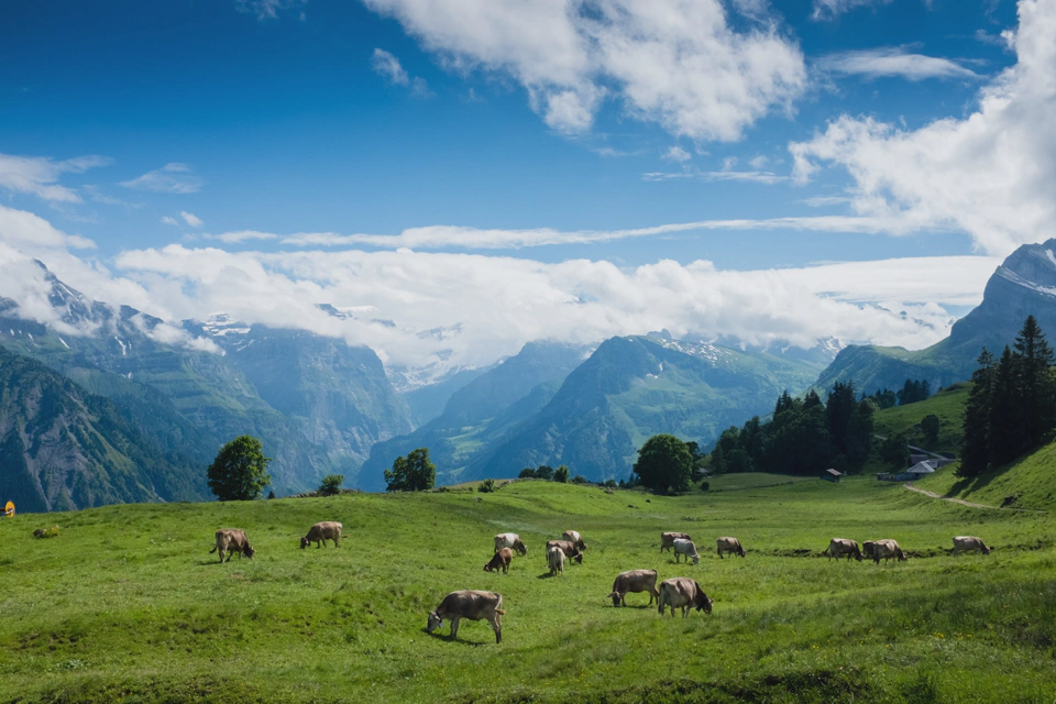 Lauterbrunnen.