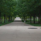 /attachments/trips/goodbye-champaign/uiuc-campus-path-surrounded-by-trees_hu7067884712629367803.webp