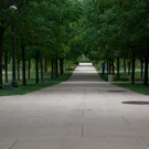 /attachments/trips/goodbye-champaign/uiuc-campus-path-surrounded-by-trees_hu_a0d1b4118eb8bac9.webp