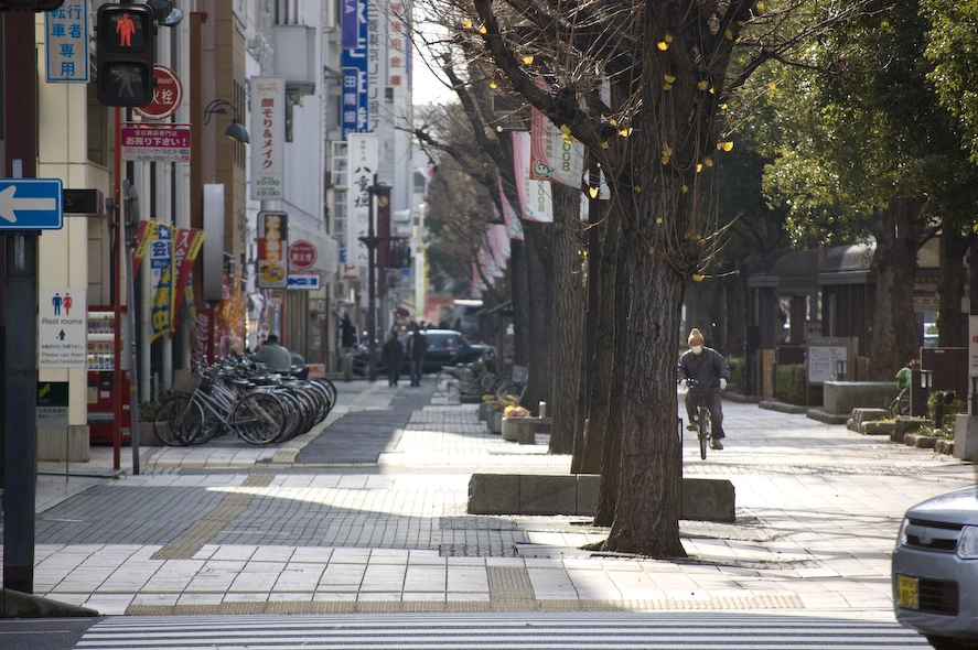 Hacía un frío de narices. Esta foto es de la calle que va desde la estación de tren, punto neurálgico de la ciudad, hasta el castillo de Himeji.