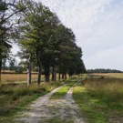 /attachments/trips/hoge-veluwe/DSCF2107_hu18269614361221440753.webp