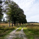 /attachments/trips/hoge-veluwe/DSCF2107_hu_261dc218afe960a2.webp