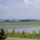 /attachments/trips/japon-desde-la-carretera/campos-de-arroz-hiraizumi-2_hu_f2c0626c7f5ddfb3.webp