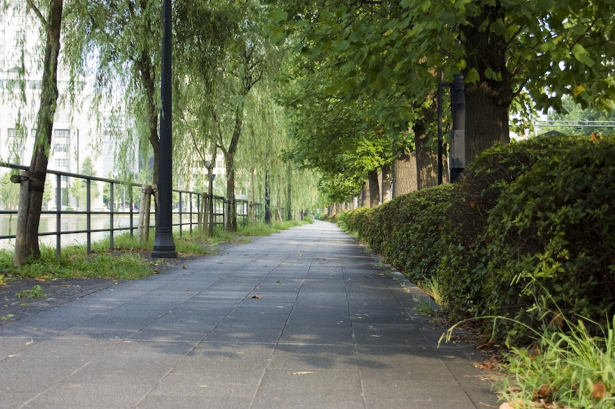 Me encantan estos inmensos caminos rodeados de árboles en plena ciudad.