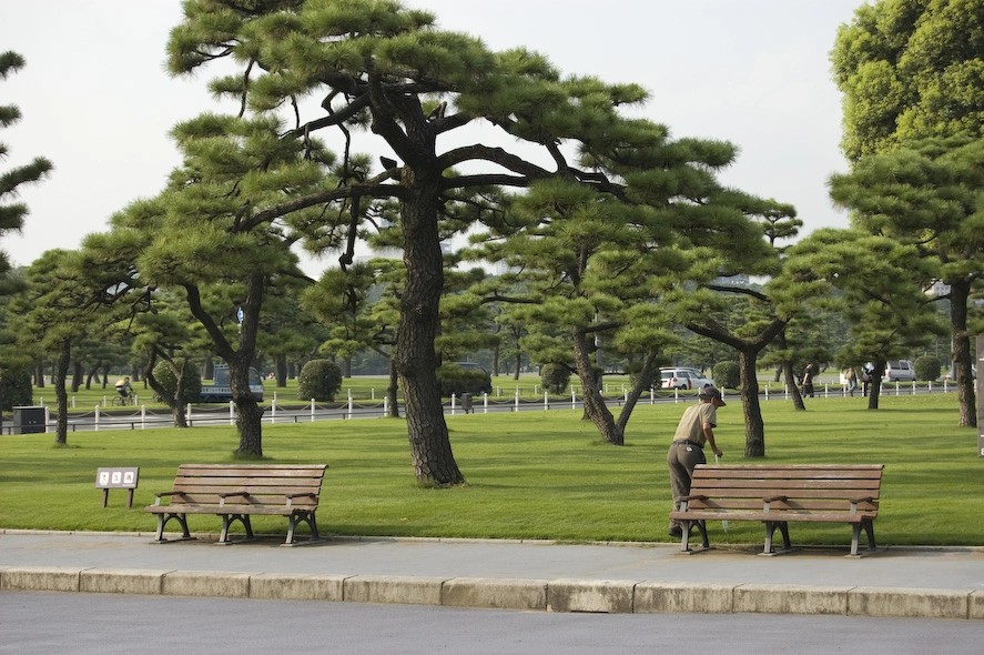 Por si no había suficiente parque con el del palacio aquí hay otro parque a dos semáforos del palacio.