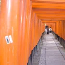 /attachments/trips/kyoto-2/camino-fushimini-inari-shrine-templo-de-los-1000-torii_hu_58d0271259d8e965.webp