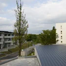 /attachments/trips/llegada-a-sendai/international-house-sanjo-1_hu_d6e9b65b81a95215.webp /attachments/trips/llegada-a-sendai/international-house-sanjo-1_hu_d6e9b65b81a95215.webp