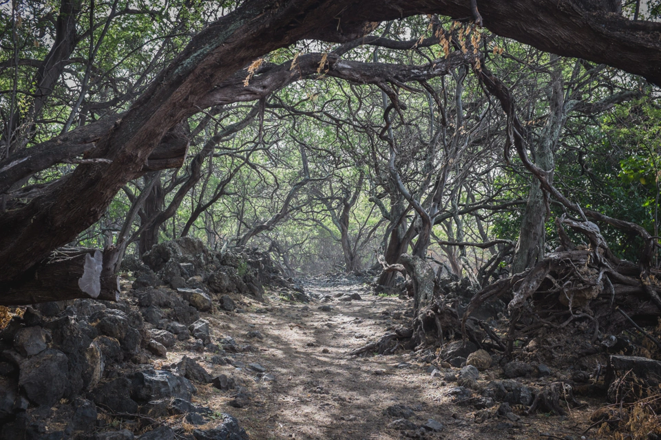 Hiking across the first part of the lava fields.