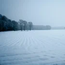 /attachments/trips/merry-christmas-from-the-netherlands/snowy-dutch-farm-fields_hu_231d6cbc21b1a0e5.webp