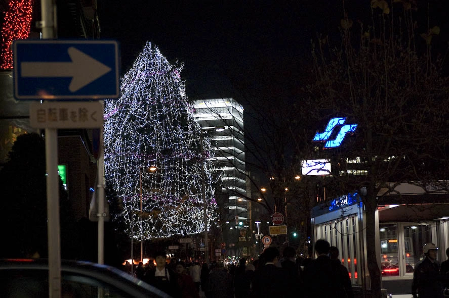 Este árbol está en uno de los extremos de la calle de las luces.