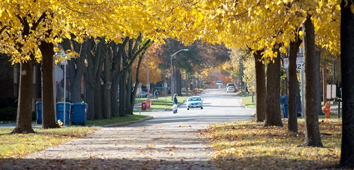 Poco a poco nos vamos adentrando en el invierno. El campus estos días es todo un despliegue de colores.