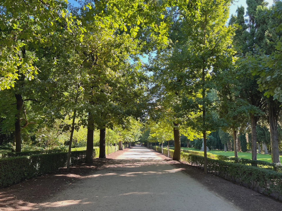 The garden’s main path.