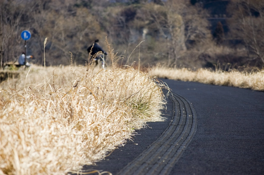 camino-asfaltado-rodeado-de-hierba-primavera-sendai.webp