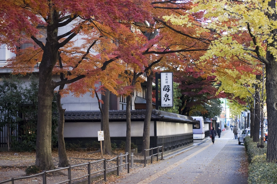 Otoño en Sendai.