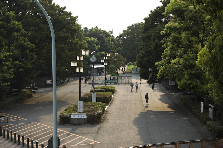 Vista del parque desde la salida opuesta a la que entré. El parque era tan grande y los japoneses son tan silenciosos que era como estar en medio del campo. Con la cantidad de árboles era imposible ver edificios u otros rastros de civilización.