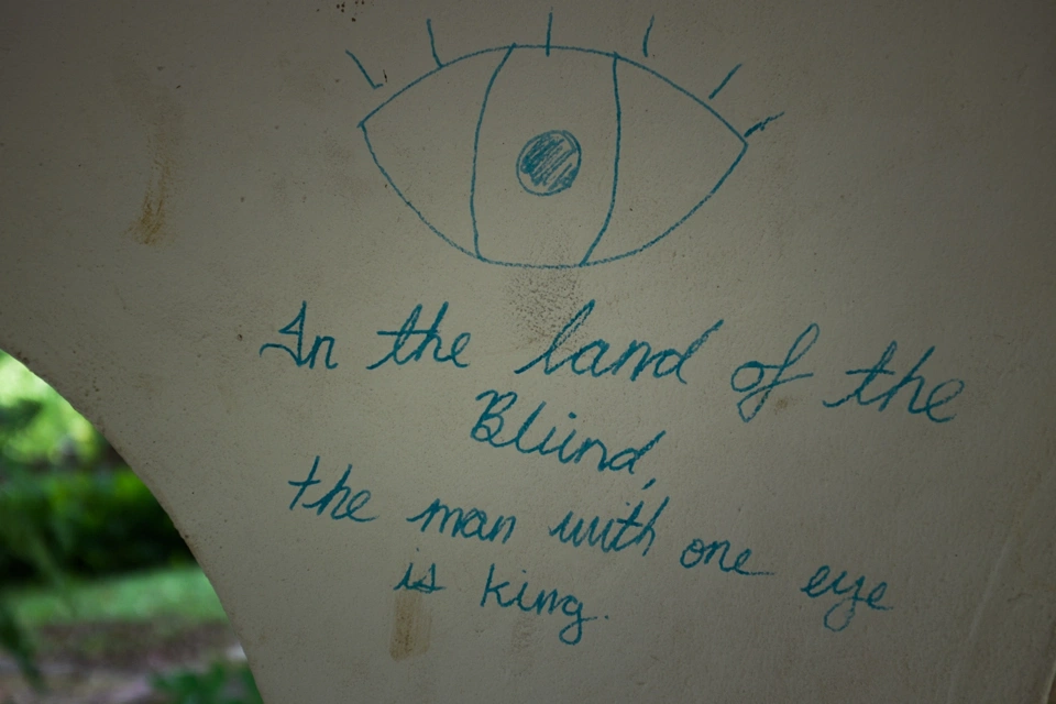 &lsquo;In the land of the blind, the man with one eye is king&rsquo;, written in the walls of a small old structure in a park.