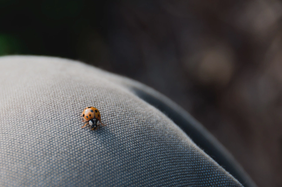 Al bajar la vista después de sacar la foto anterior me encontré con esta chiquilla exploradora.