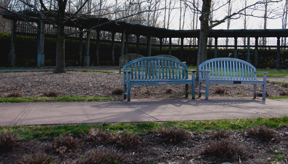 Two lonely benches from the Zen Garden.