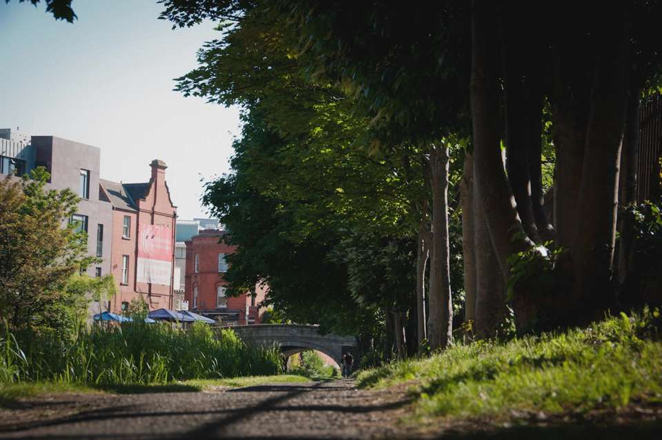 I frequently walk across the canal and when it’s sunny it still strikes me as a beautiful place. Dublin is a small city but it has this and other exquisite details that give the city its own aura.