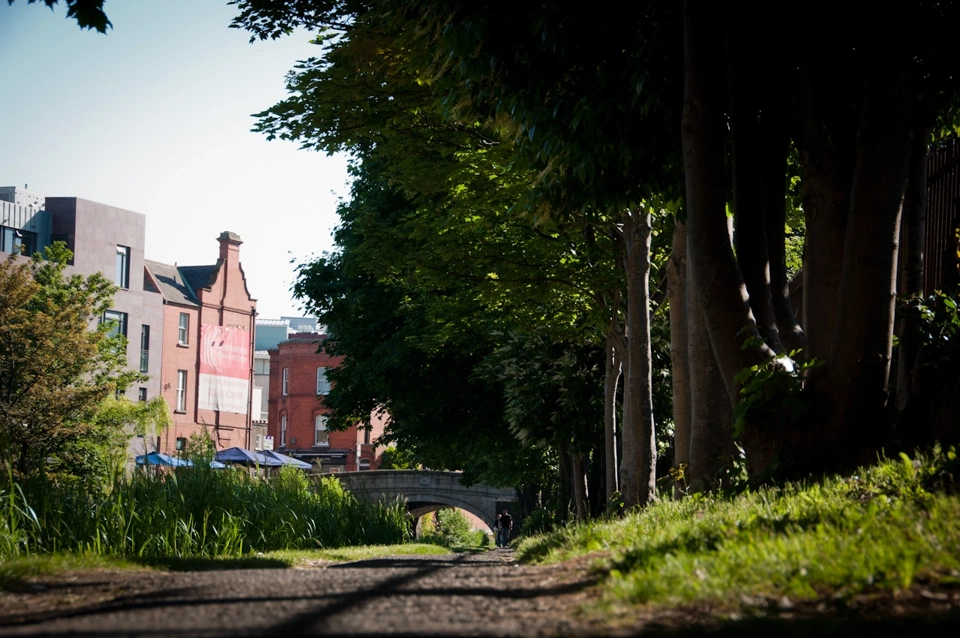 I frequently walk across the canal and when it&rsquo;s sunny it still strikes me as a beautiful place. Dublin is a small city but it has this and other exquisite details that give the city its own aura.