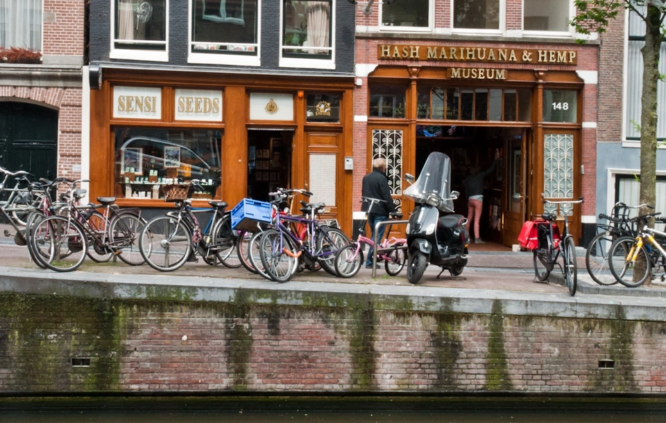 hash-marihuana-hemp-museum-amsterdam.webp