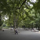 /attachments/trips/ueno/parque-ueno-con-hileras-de-vagabundos_hu_2e80d50fb61aebe8.webp