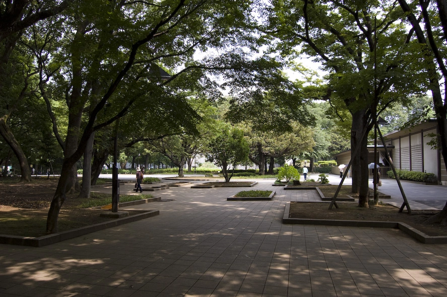 Avanzando un poco más empiezo a ver edificios dentro del parque, menos vagabundos y un poco más de orden.