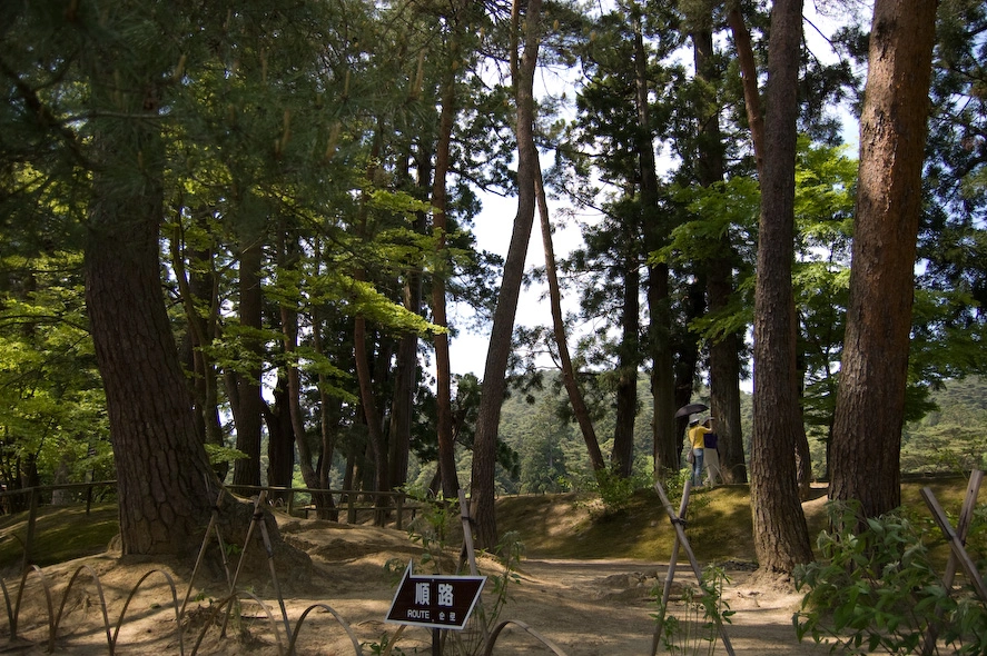 La entrada al parque más grande del pueblo. Por alguna razón en Japón es difícil encontrar árboles que crezcan erectos y las casas típicas que tienen vigas de madera para sostener el techo y la casa parecen estar bailando un tango. El problema sobreviene cuando alguna de esas vigas onduladas se jubila y tienen que buscar una nueva que encaje.