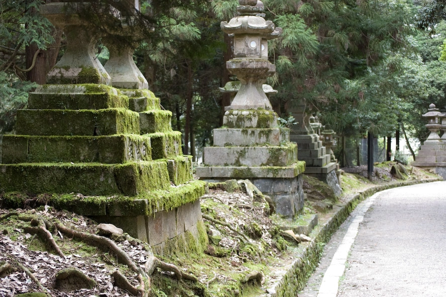 Linternas cubiertas de musgo de uno de los innumerables caminos.