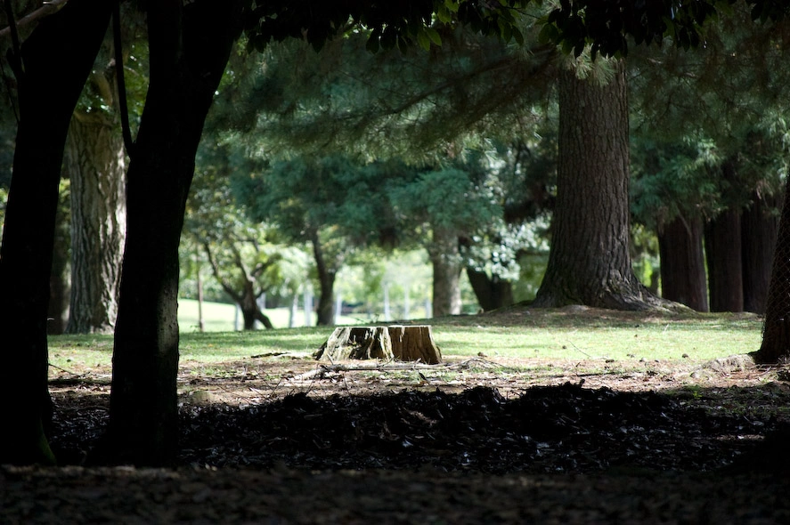 El parque me gustó mucho. Aunque por la zona de los templos había una cantidad no despreciable de gente por el resto de la zona estaba todo mucho más tranquilo.